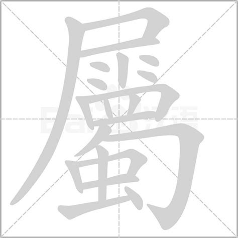 屬 意思|屬的意思，屬字的意思